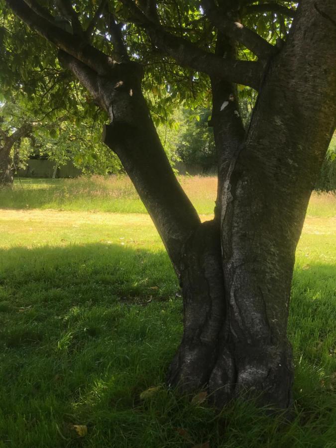 Redbrook Farm Bnb - Gateway To The New Forest フォーディングブリッジ エクステリア 写真
