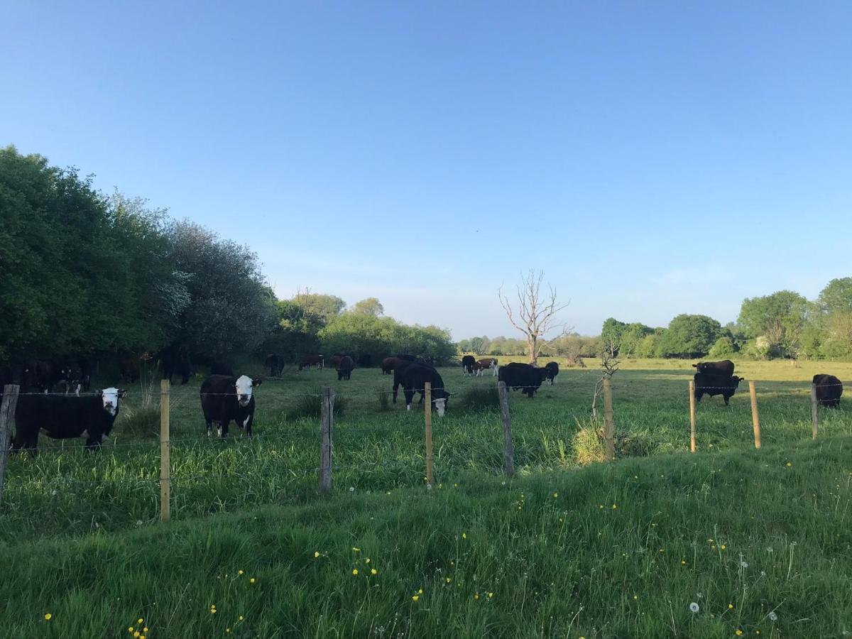 Redbrook Farm Bnb - Gateway To The New Forest フォーディングブリッジ エクステリア 写真