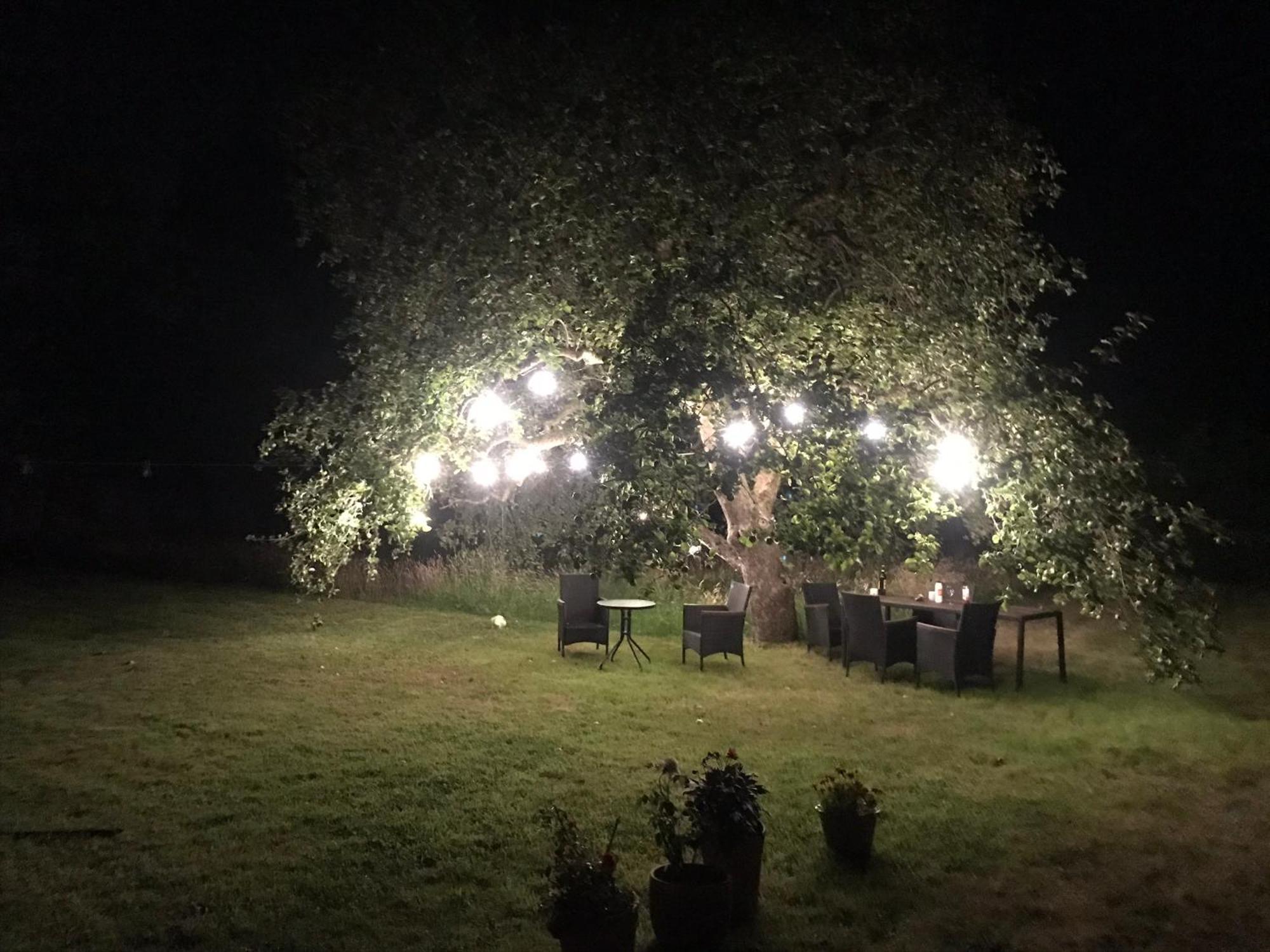Redbrook Farm Bnb - Gateway To The New Forest フォーディングブリッジ エクステリア 写真