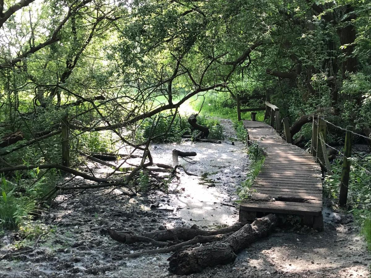 Redbrook Farm Bnb - Gateway To The New Forest フォーディングブリッジ エクステリア 写真