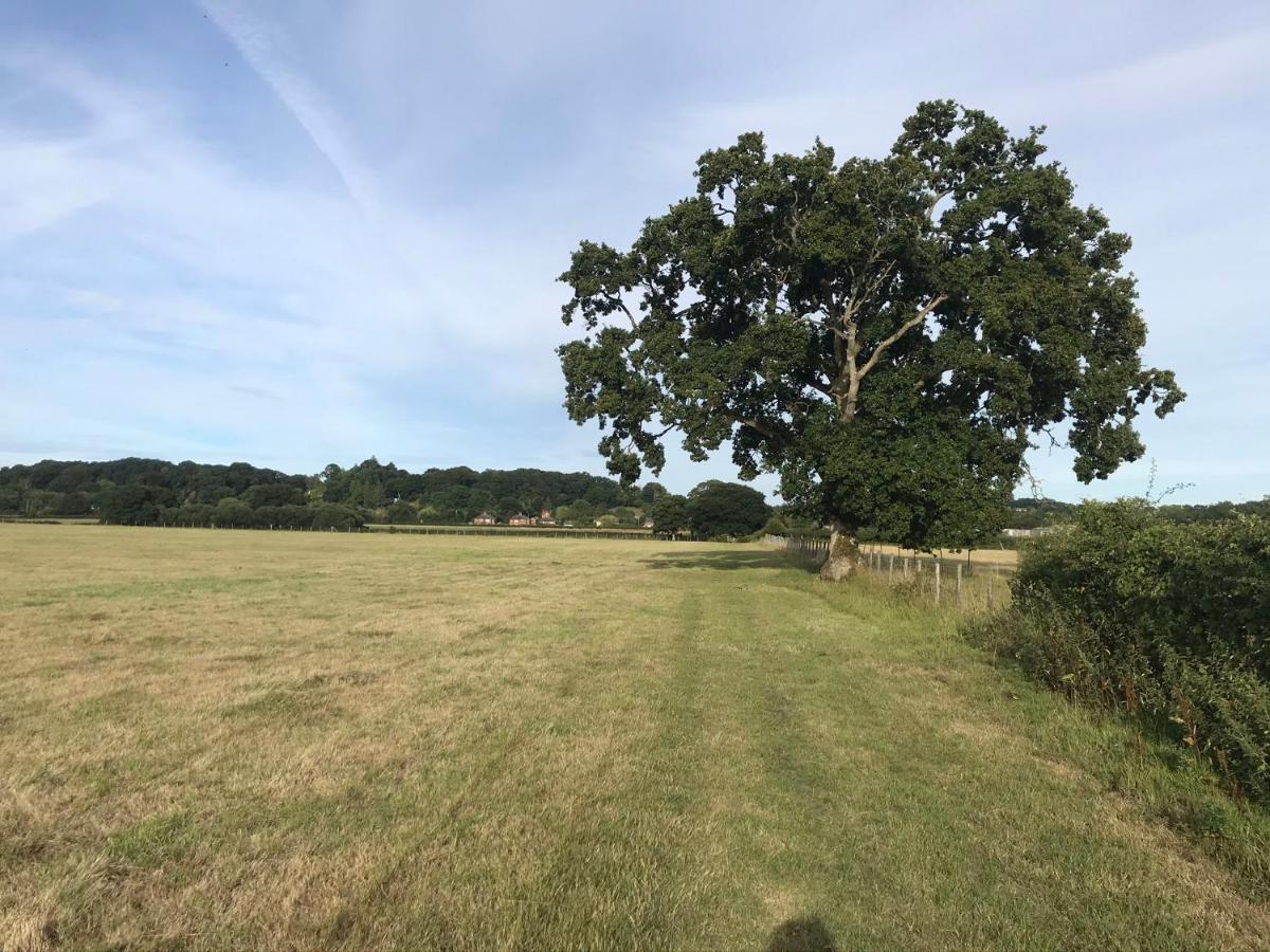 Redbrook Farm Bnb - Gateway To The New Forest フォーディングブリッジ エクステリア 写真