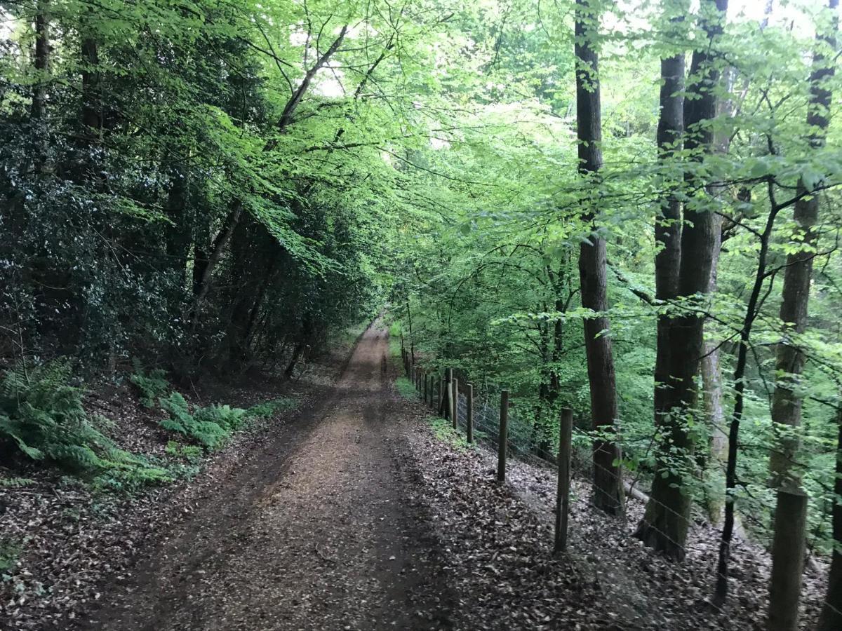 Redbrook Farm Bnb - Gateway To The New Forest フォーディングブリッジ エクステリア 写真