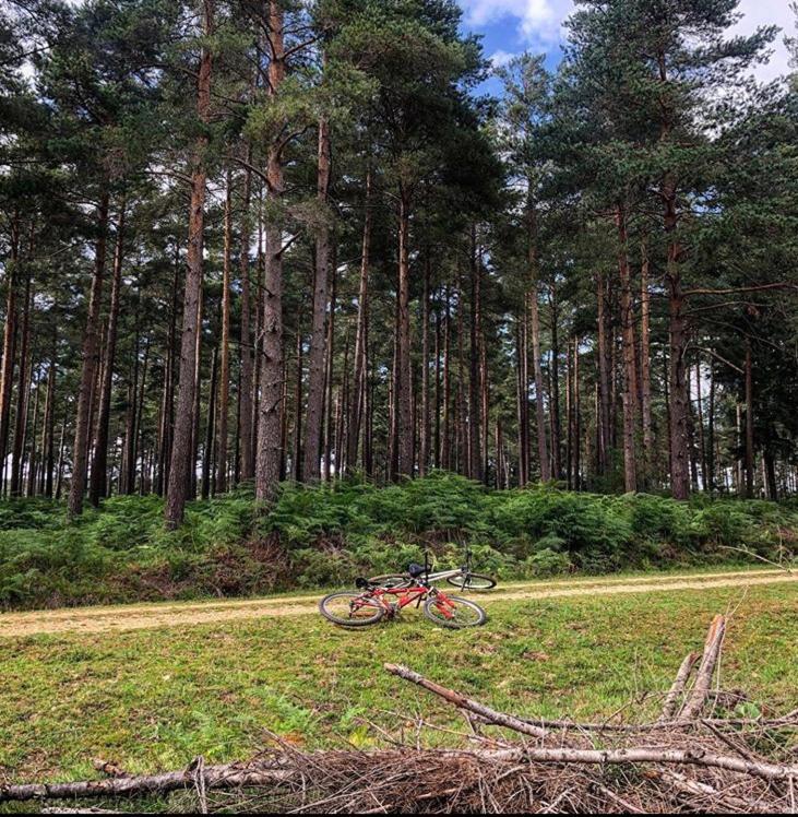 Redbrook Farm Bnb - Gateway To The New Forest フォーディングブリッジ エクステリア 写真