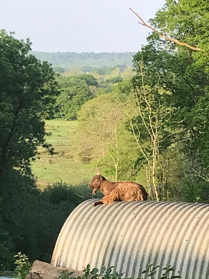 Redbrook Farm Bnb - Gateway To The New Forest フォーディングブリッジ エクステリア 写真