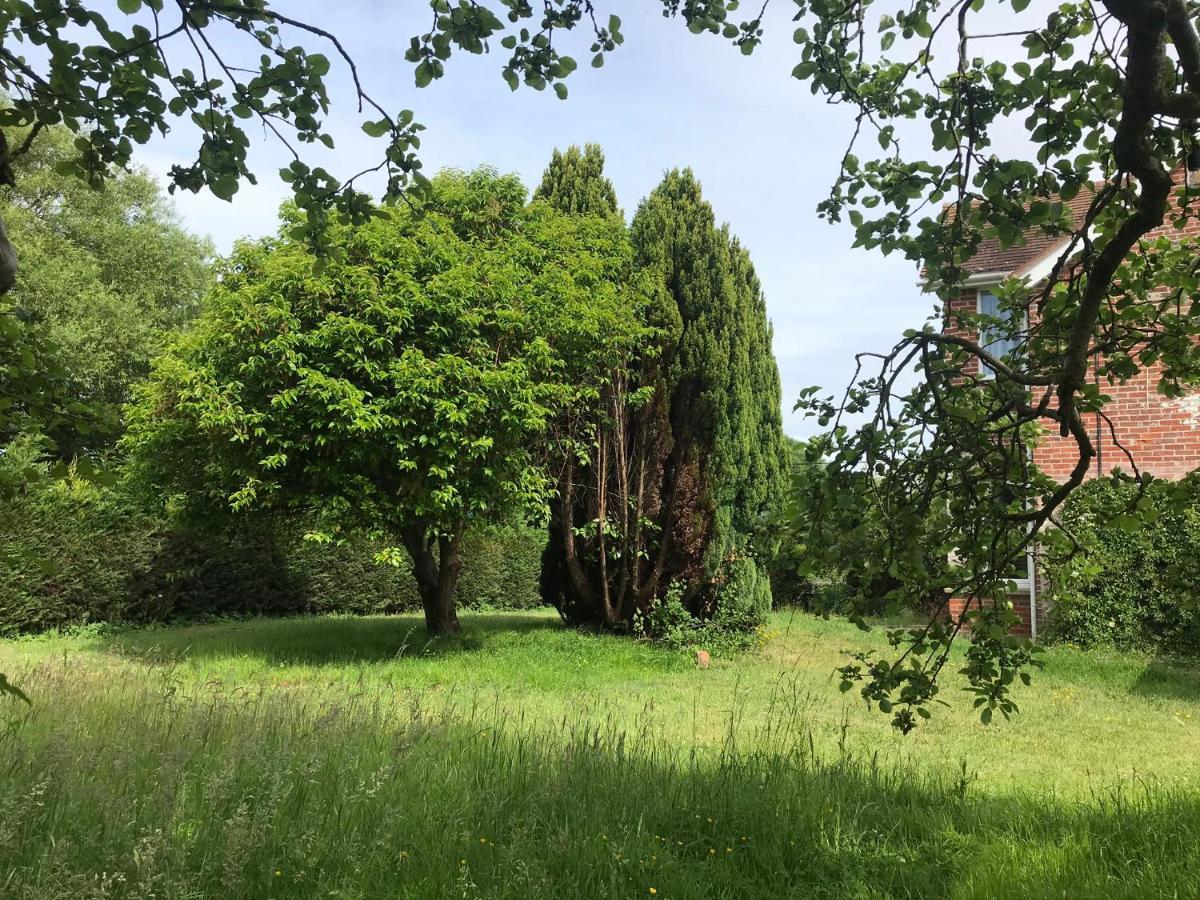 Redbrook Farm Bnb - Gateway To The New Forest フォーディングブリッジ エクステリア 写真